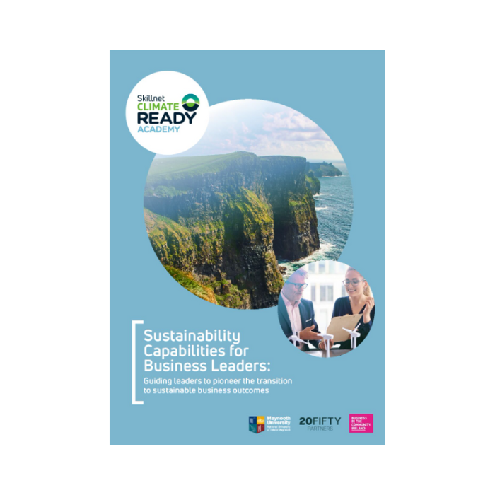 Sustainability Capabilities for Business Leaders: Guiding leaders to pioneer the transition to sustainable business outcomes